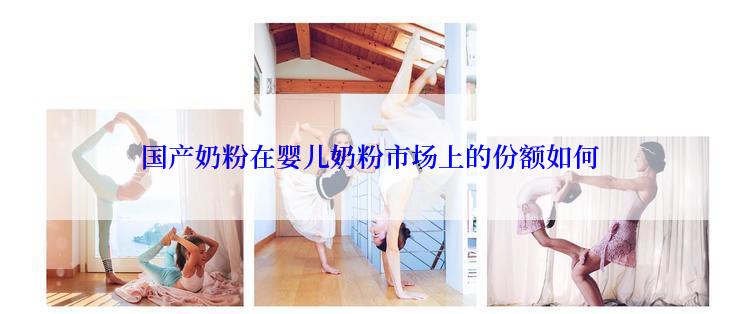 国产奶粉在婴儿奶粉市场上的份额如何