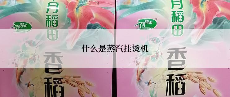 什么是蒸汽挂烫机