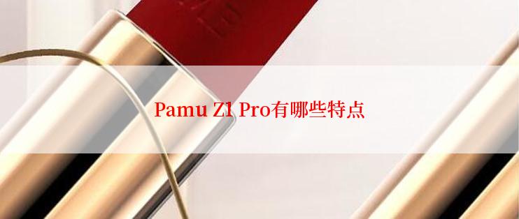 Pamu Z1 Pro有哪些特点