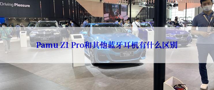 Pamu Z1 Pro和其他蓝牙耳机有什么区别