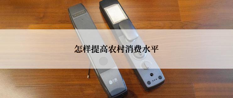 怎样提高农村消费水平
