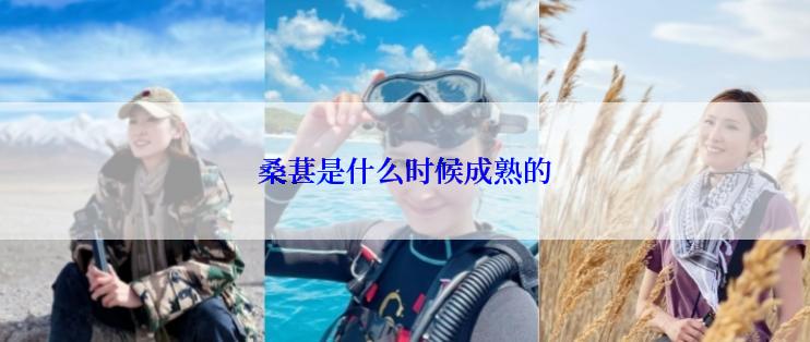 桑葚是什么时候成熟的