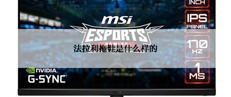 法拉利拖鞋是什么样的