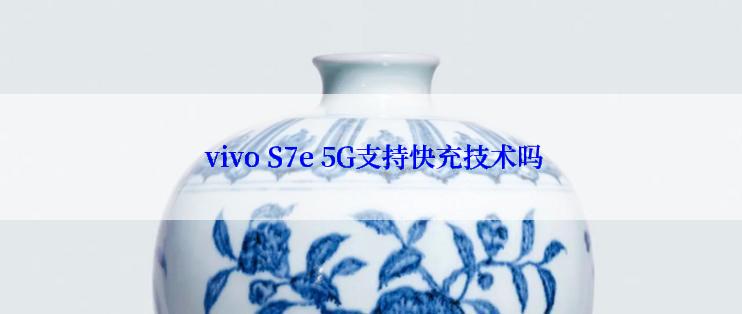  vivo S7e 5G支持快充技术吗