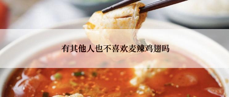  有其他人也不喜欢麦辣鸡翅吗