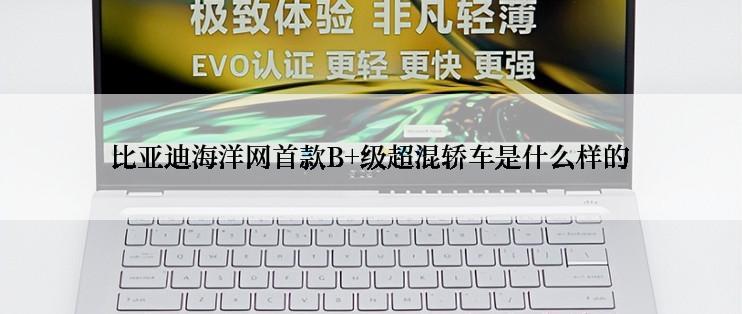比亚迪海洋网首款B+级超混轿车是什么样的