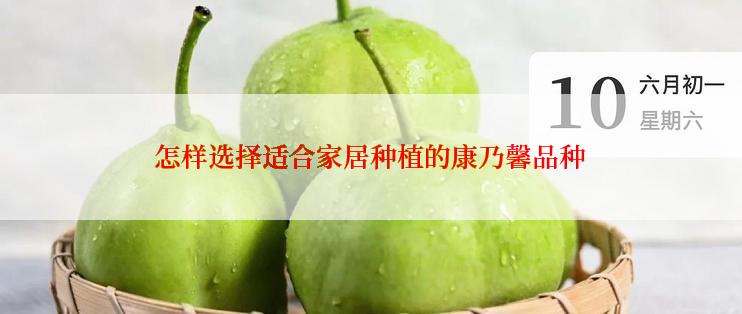 怎样选择适合家居种植的康乃馨品种
