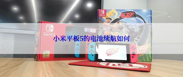 小米平板5的电池续航如何