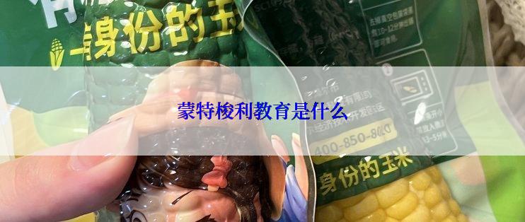 蒙特梭利教育是什么