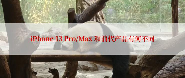 iPhone 13 Pro/Max 和前代产品有何不同