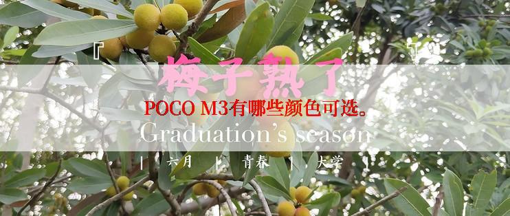 POCO M3有哪些颜色可选。