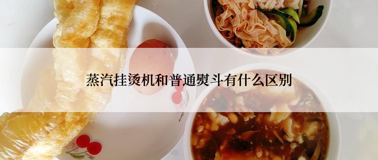 蒸汽挂烫机和普通熨斗有什么区别