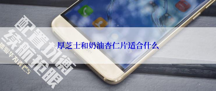 厚芝士和奶油杏仁片适合什么