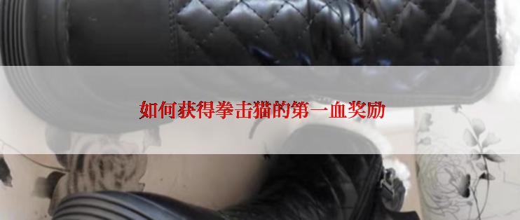  如何获得拳击猫的第一血奖励