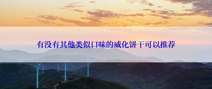 有没有其他类似口味的威化饼干可以推荐