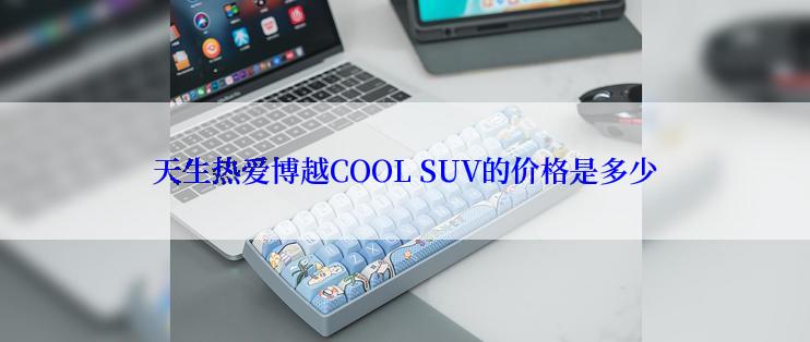 天生热爱博越COOL SUV的价格是多少