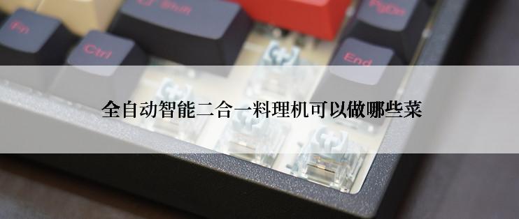 全自动智能二合一料理机可以做哪些菜