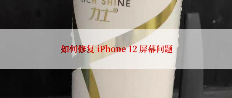  如何修复 iPhone 12 屏幕问题