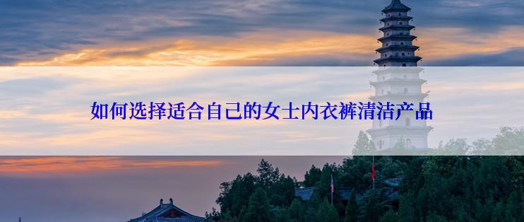 如何选择适合自己的女士内衣裤清洁产品