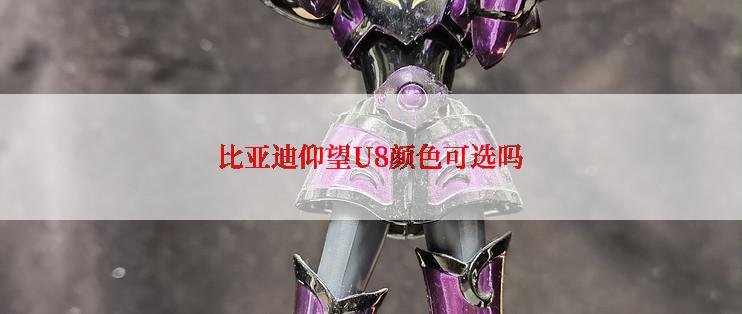 比亚迪仰望U8颜色可选吗