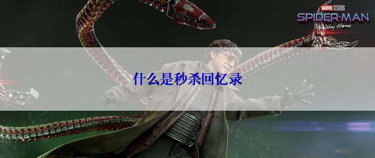什么是秒杀回忆录
