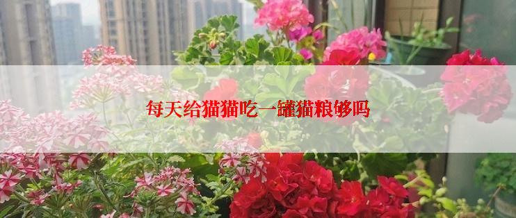 每天给猫猫吃一罐猫粮够吗