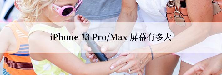 iPhone 13 Pro/Max 屏幕有多大