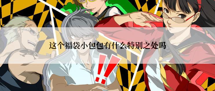 这个福袋小包包有什么特别之处吗