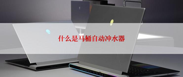 什么是马桶自动冲水器