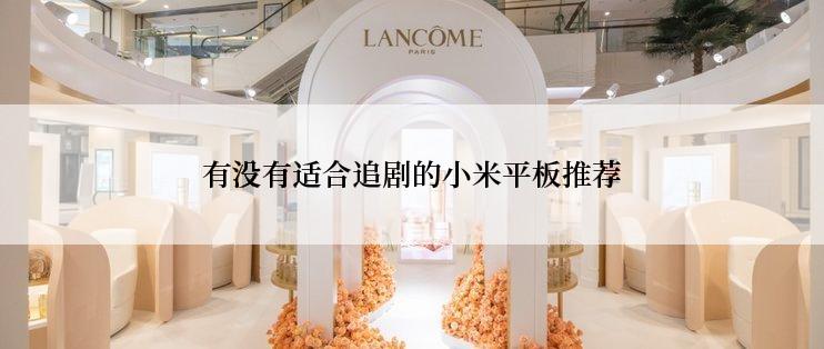 有没有适合追剧的小米平板推荐