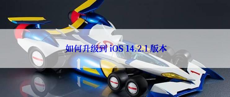  如何升级到 iOS 14.2.1 版本