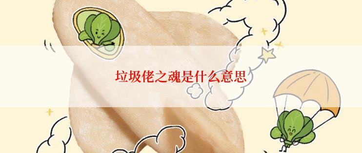 垃圾佬之魂是什么意思