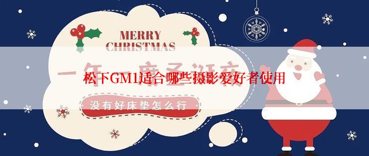 松下GM1适合哪些摄影爱好者使用