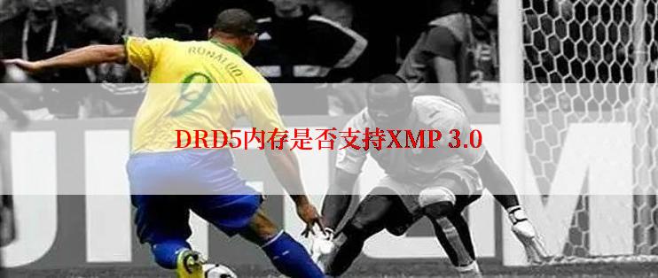 DRD5内存是否支持XMP 3.0