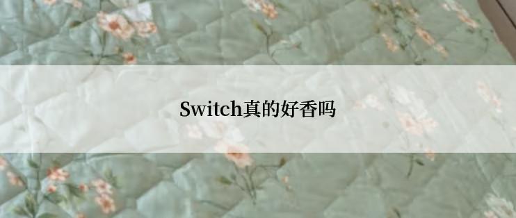 Switch真的好香吗
