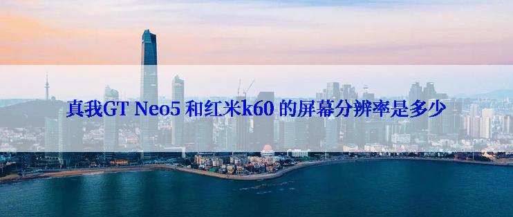 真我GT Neo5 和红米k60 的屏幕分辨率是多少