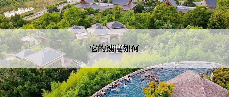 它的速度如何