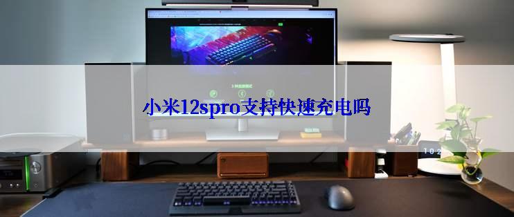 小米12spro支持快速充电吗