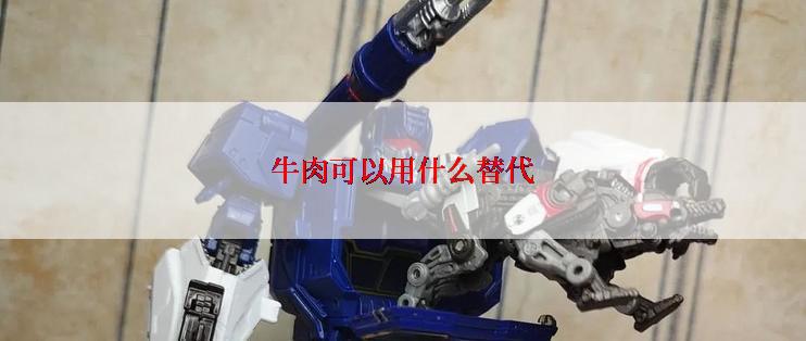 牛肉可以用什么替代