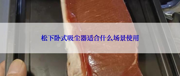 松下卧式吸尘器适合什么场景使用