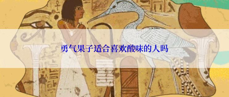 勇气果子适合喜欢酸味的人吗
