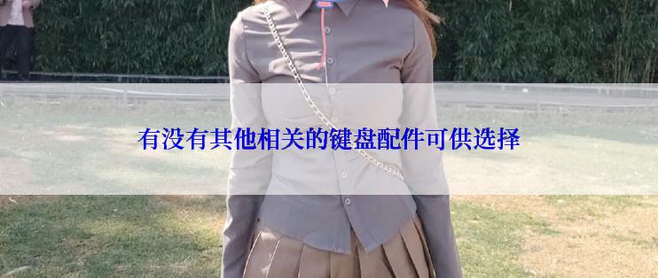 有没有其他相关的键盘配件可供选择