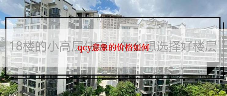 qcy意象的价格如何