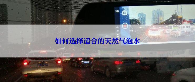 如何选择适合的天然气泡水
