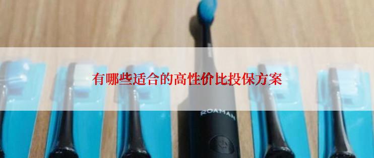 有哪些适合的高性价比投保方案