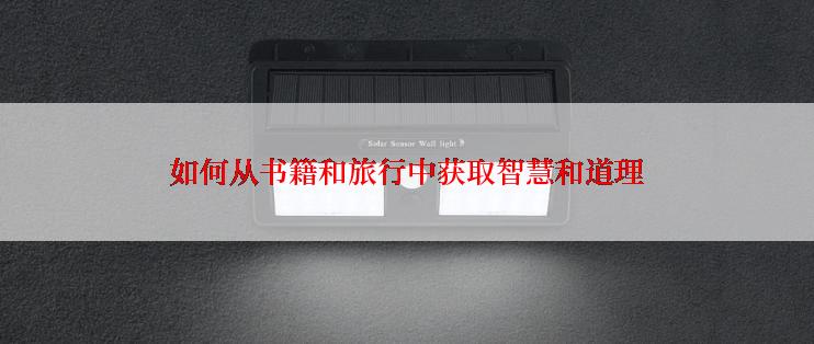 如何从书籍和旅行中获取智慧和道理