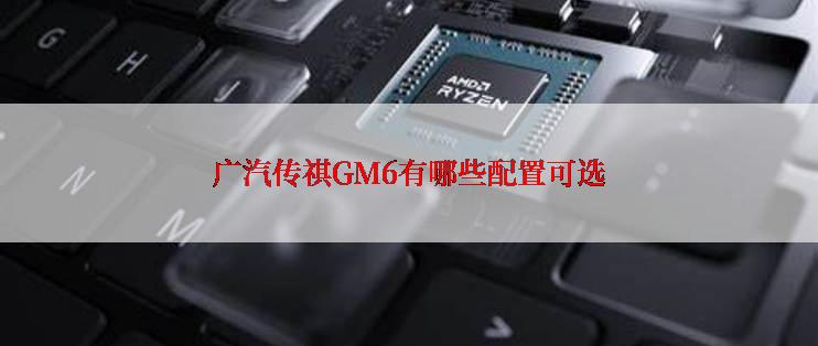 广汽传祺GM6有哪些配置可选