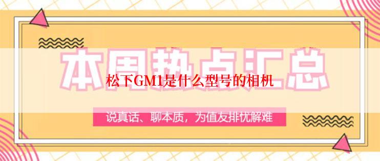 松下GM1是什么型号的相机