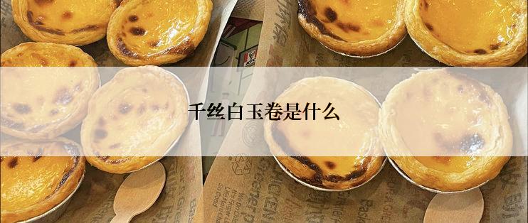 千丝白玉卷是什么