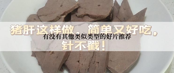 有没有其他类似类型的好片推荐